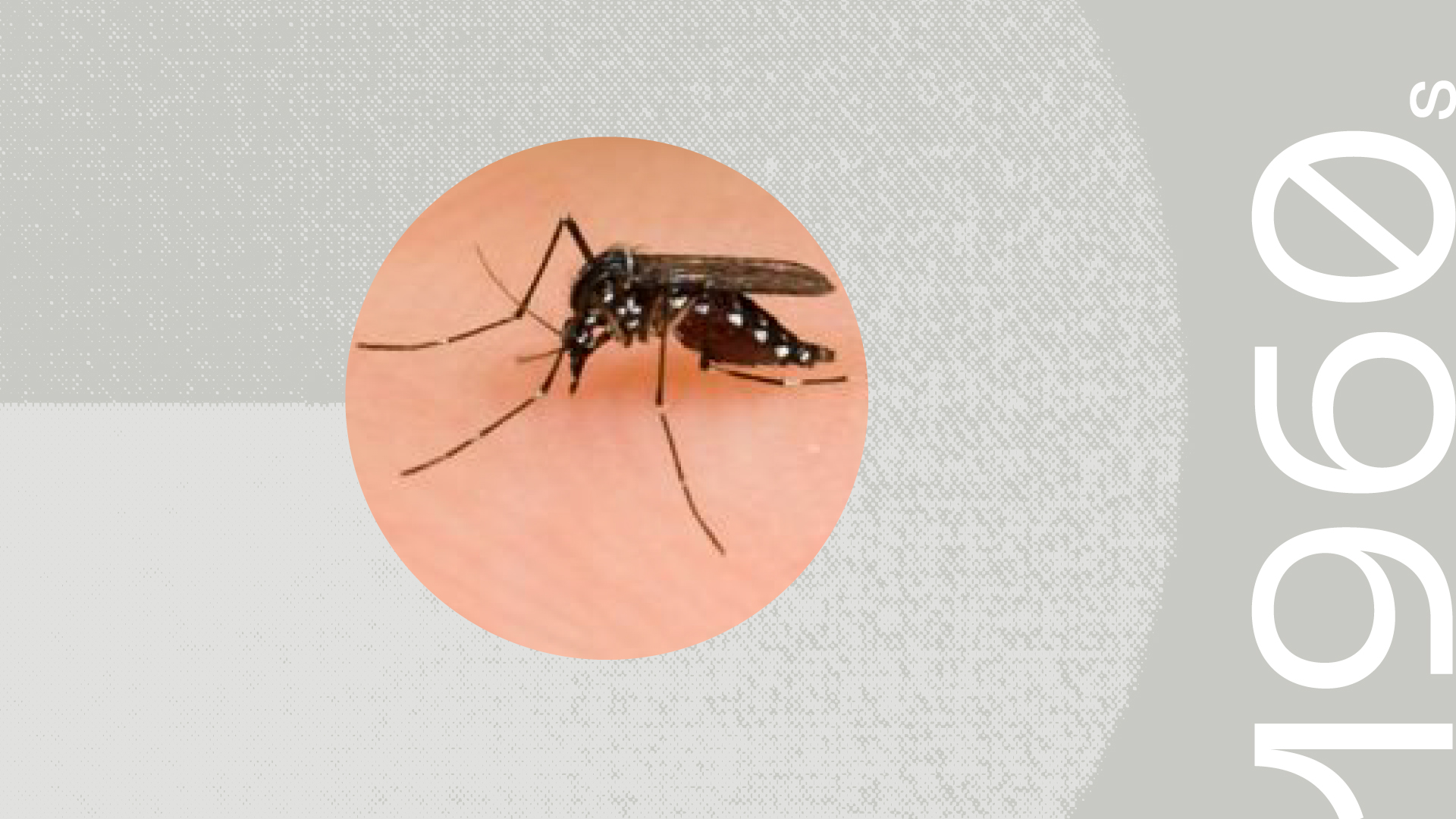 Malaria treatment: Halofantrine